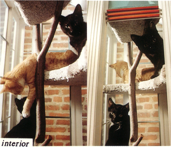 Interior details of an original Creature Comforts pet home